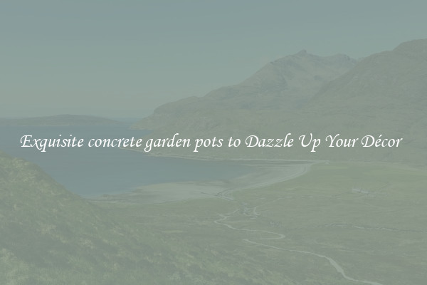Exquisite concrete garden pots to Dazzle Up Your Décor  