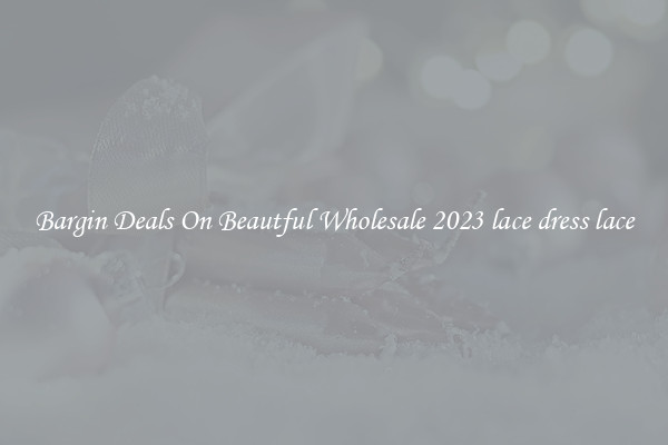 Bargin Deals On Beautful Wholesale 2023 lace dress lace