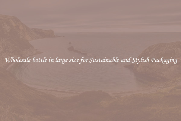 Wholesale bottle in large size for Sustainable and Stylish Packaging