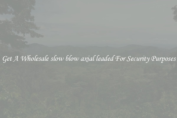 Get A Wholesale slow blow axial leaded For Security Purposes