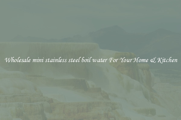 Wholesale mini stainless steel boil water For Your Home & Kitchen