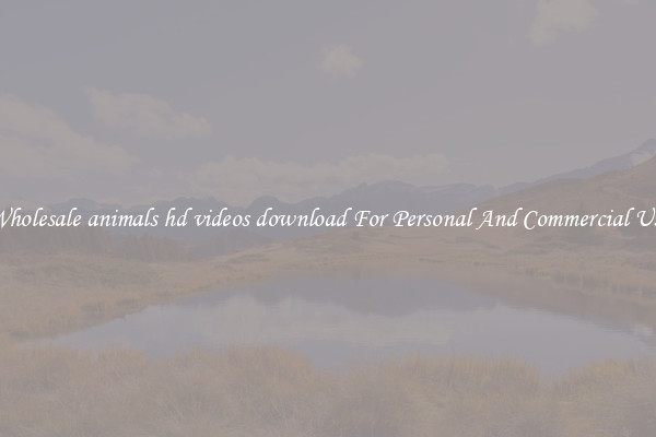 Wholesale animals hd videos download For Personal And Commercial Use