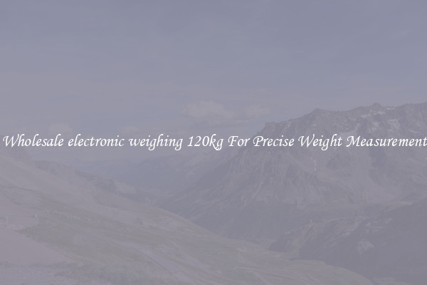 Wholesale electronic weighing 120kg For Precise Weight Measurement