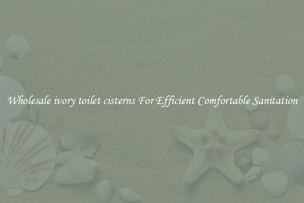 Wholesale ivory toilet cisterns For Efficient Comfortable Sanitation