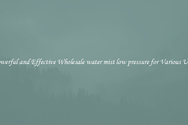 Powerful and Effective Wholesale water mist low pressure for Various Uses