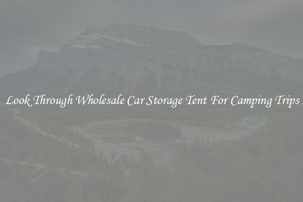 Look Through Wholesale Car Storage Tent For Camping Trips