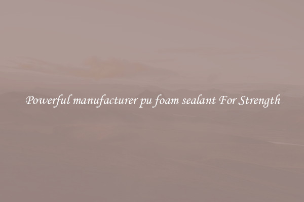 Powerful manufacturer pu foam sealant For Strength